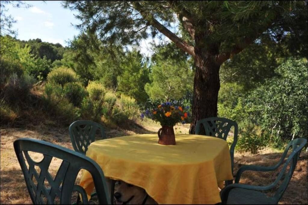 Charmant Mas tout équipé en pleine nature catalane Cases-de-Pene Extérieur photo