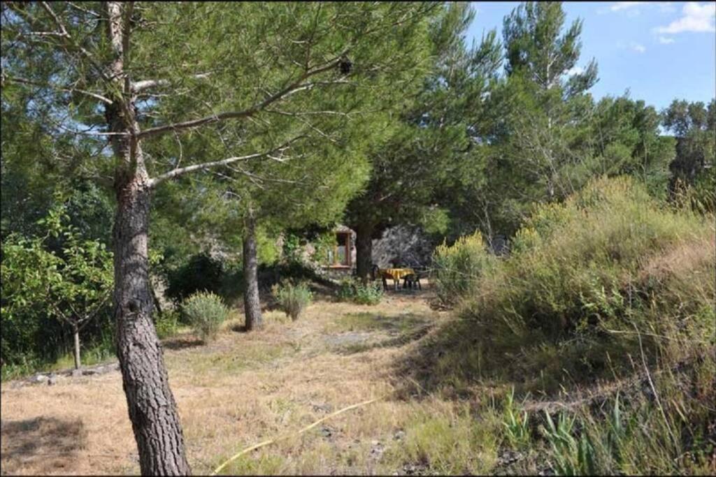 Charmant Mas tout équipé en pleine nature catalane Cases-de-Pene Extérieur photo